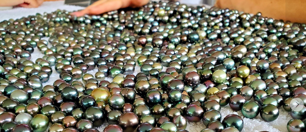Tahitian black pearls